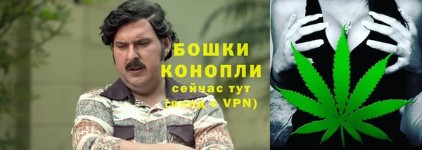 a pvp Няндома