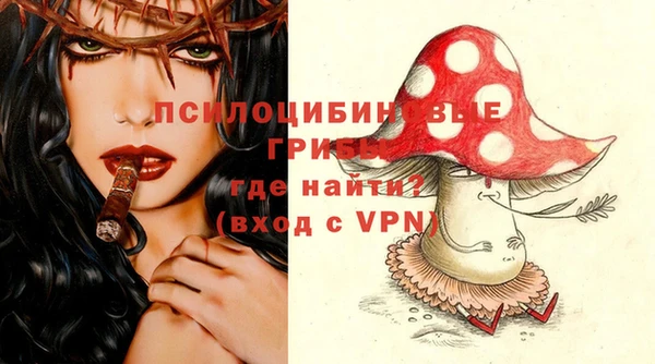 эйфоретик Нязепетровск