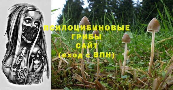 прущие грибы Осинники