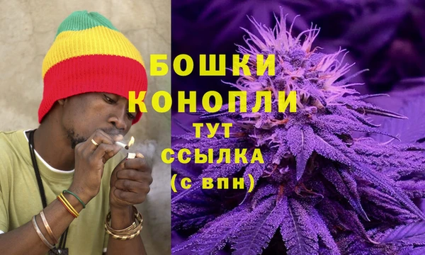 a pvp Няндома