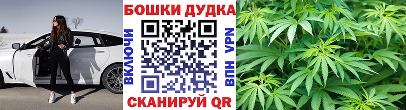 OMG рабочий сайт Устюжна Шишки марихуана Ganja